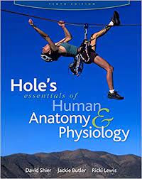 HOLE'S ESSENTIAL OF HUMAN ANATOMY TENTH EDITION