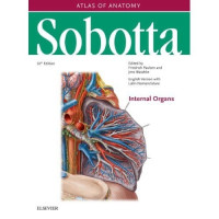 SOBOTTA : ATLAS ANATOMI MANUSIA ORGAN INTERNA EDISI 24