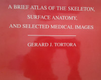 A BRIEF ATLAS OF THE SKELETON, SURFACE ANATOMY, AND SELECTED MEDICAL IMAGES