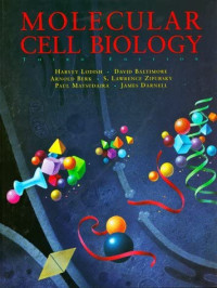 MOLECULAR CELL BIOLOGY 2 : THIRD EDITION